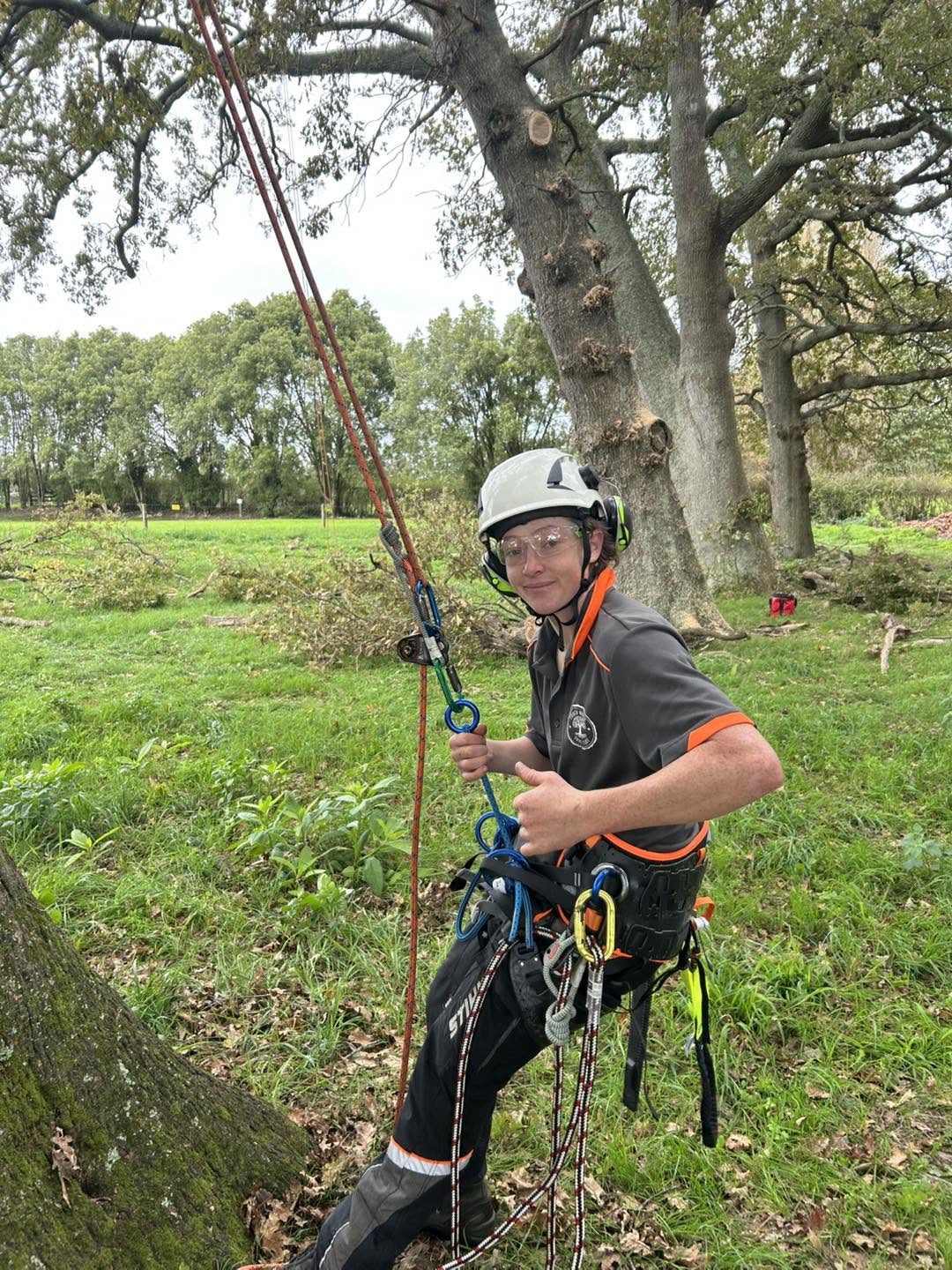 Touch Wood Tree Care apprentice in climbing harness