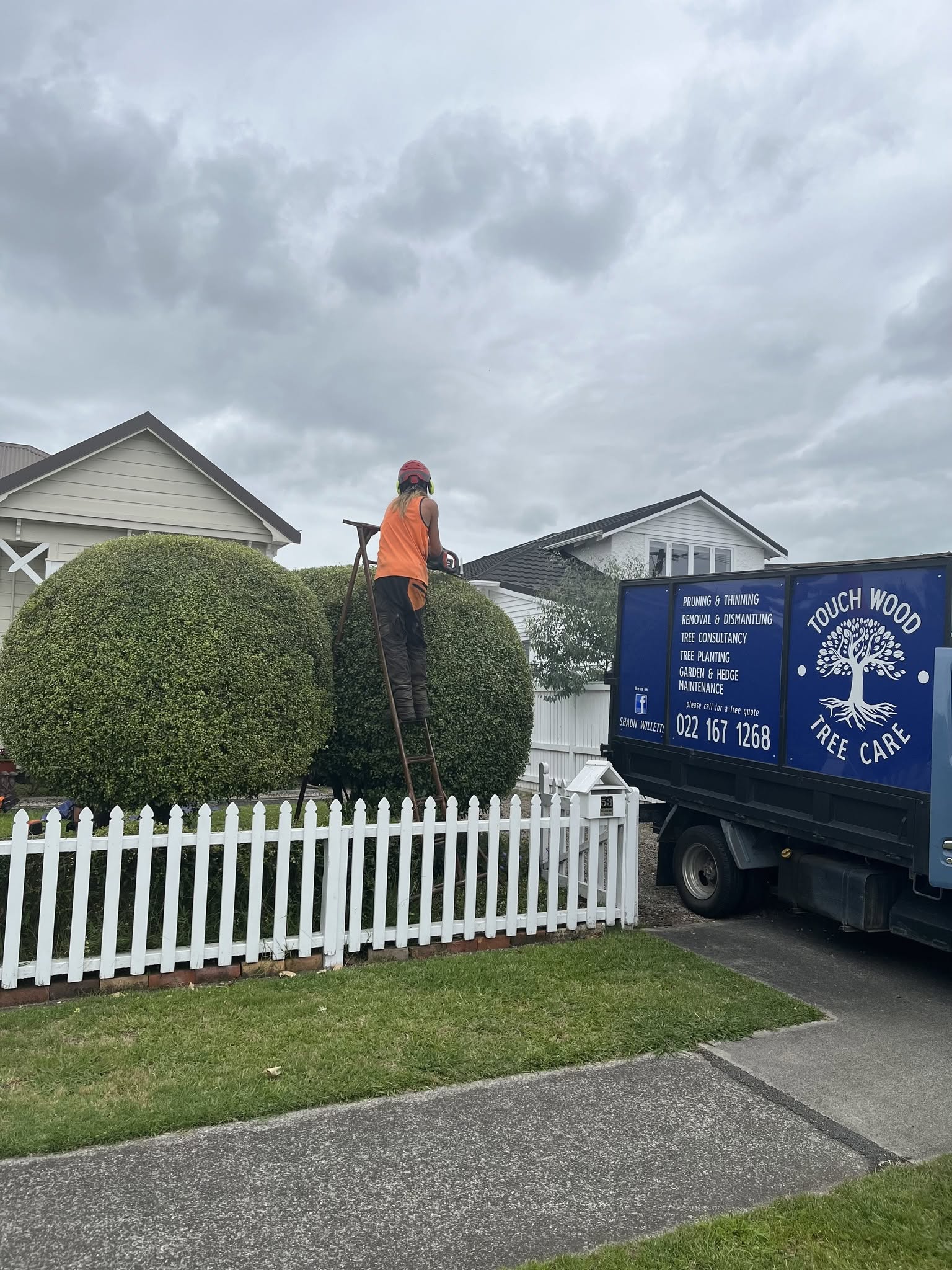 Hedge trimming with branded Touch Wood Tree Care truck