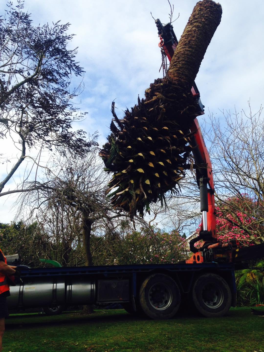 Stump removal Waikato